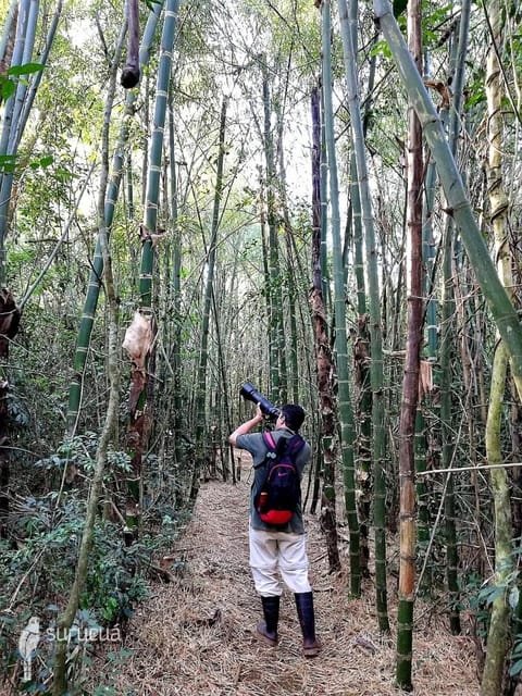 Surucua Reserva & Ecolodge Capanno nella natura in State of Paraná