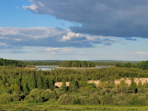 Spring, Day, Natural landscape, Lake view