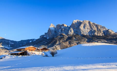 Natural landscape, Winter, Hiking, On site, Mountain view