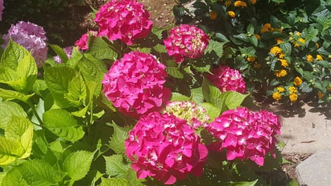 Apartmani A1 Marina, Okrug Gornji Apartment in Okrug Gornji