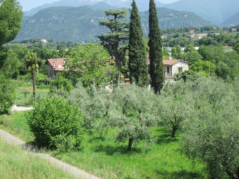 Natural landscape