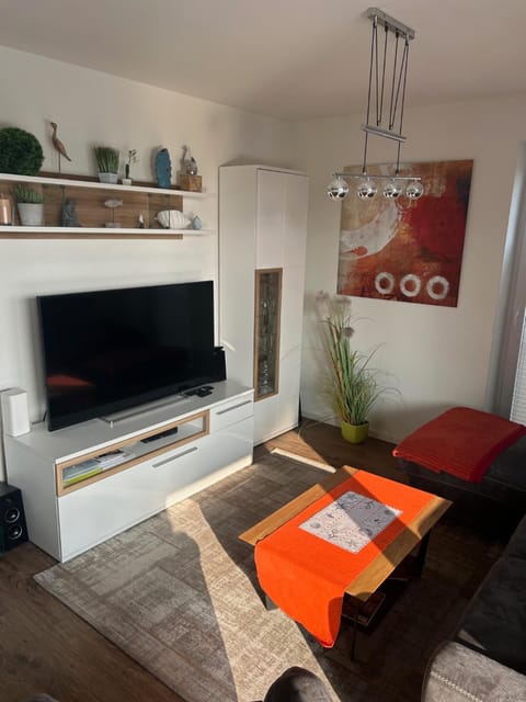 Silbermöwe im Kirschgarten Apartment in Ostholstein