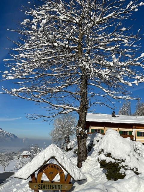 Stallerhof Hotel in Salzburgerland