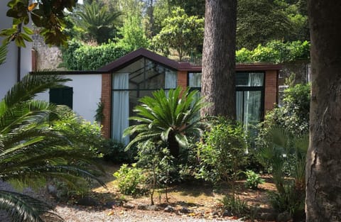 Patio, Facade/entrance, Garden