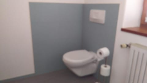 Ferienwohnung Danner Apartment in Salzburgerland