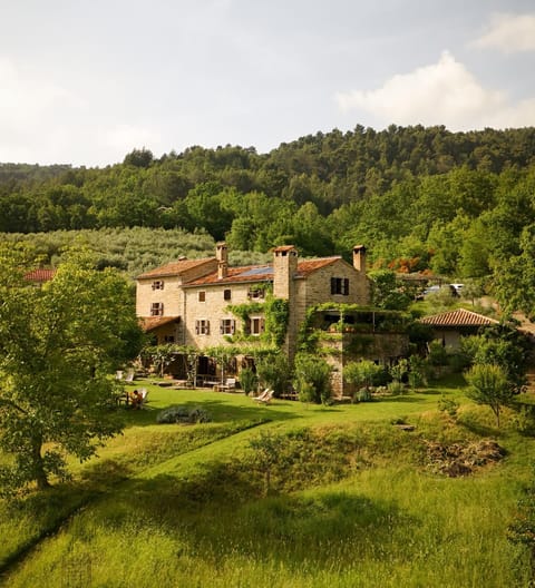 Property building, Natural landscape