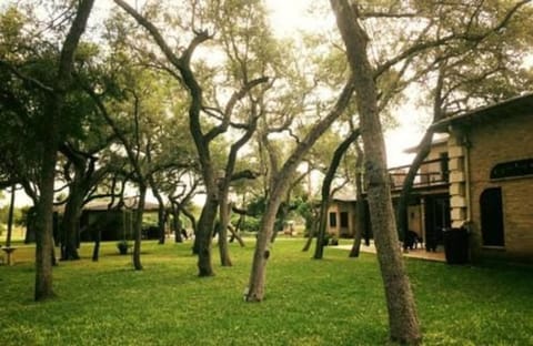 Live Oaks Bed and Breakfast Bed and Breakfast in Uvalde