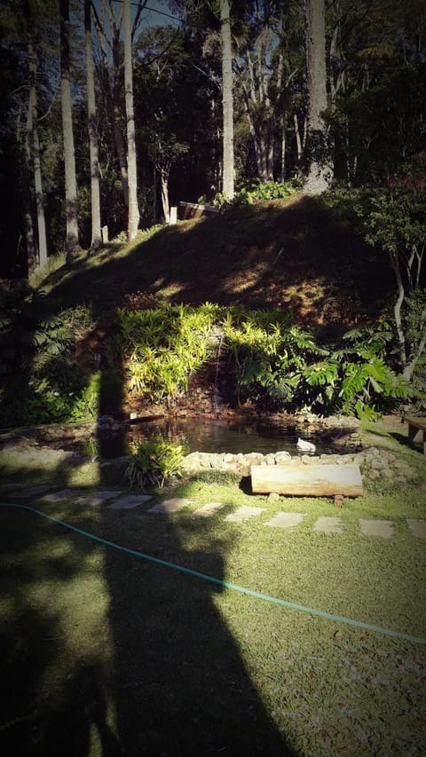 Activities, Garden, Garden view