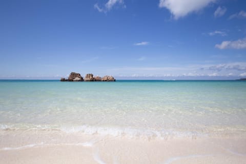 Nearby landmark, Neighbourhood, Natural landscape, Beach