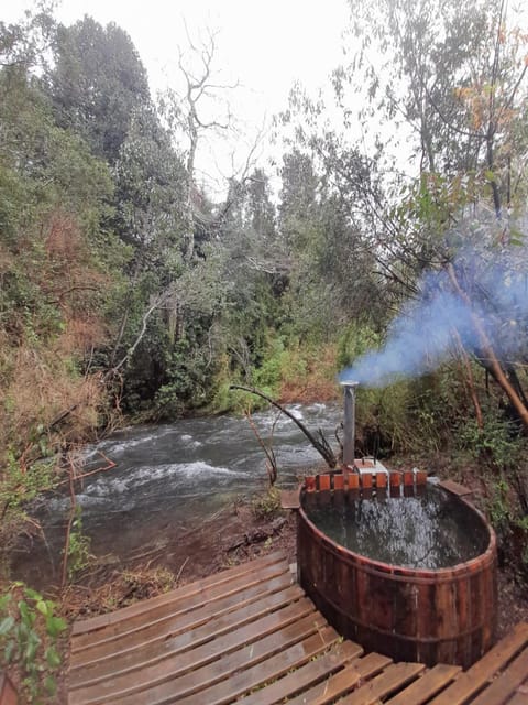 Entre Pampa y Bosque Nature lodge in Los Ríos, Chile