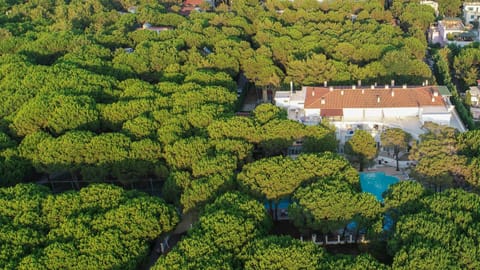 Property building, Natural landscape, Swimming pool