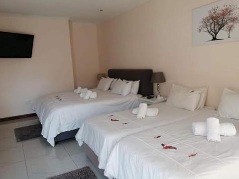 Esperanca Guesthouse Bed and Breakfast in Windhoek