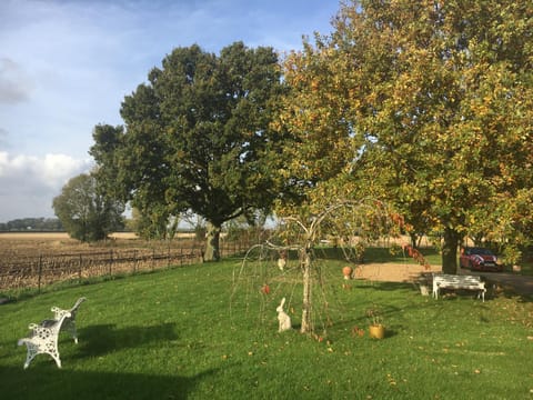 Eight ball house House in Breckland District