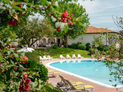 Garden, Pool view, Swimming pool