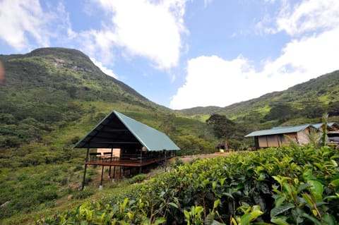 Property building, Natural landscape, Mountain view