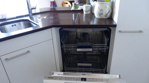 Kitchen or kitchenette, dishwasher