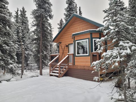 Denali Wild Stay - Muskrat cabin, private, free wifi, free parking, sleep 4 Haus in Healy