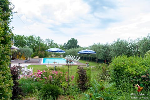 Garden, Garden view, Pool view, Swimming pool, sunbed