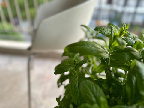 Not bookable Apartment in Central Athens Regional Unit, Greece