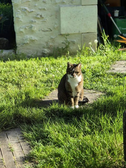 Les Granges de l'Épan Bed and Breakfast in Joué-lès-Tours