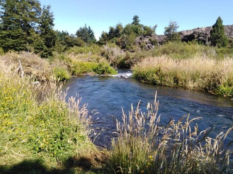 Natural landscape, River view