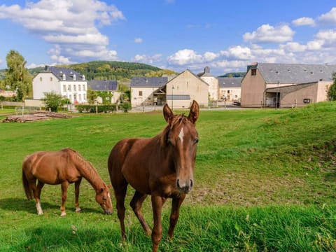 Cottage House Weyer - Mare&Filly Room Vacation rental in Luxembourg District, Luxembourg