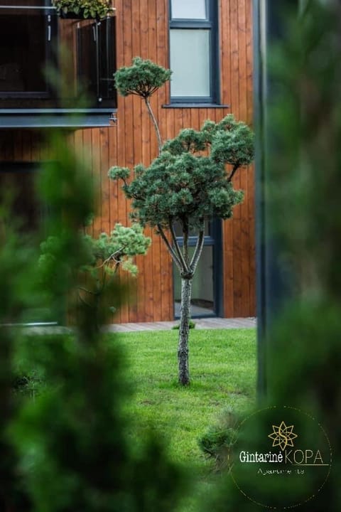 Patio, Garden view, Inner courtyard view
