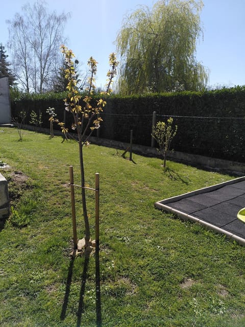 Garden view, Garden view