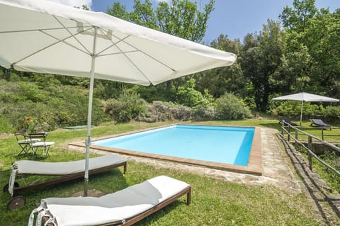 Garden, Pool view, Swimming pool