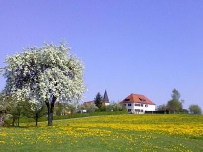 Ferienwohnung Sonja Apartment in Straubing-Bogen