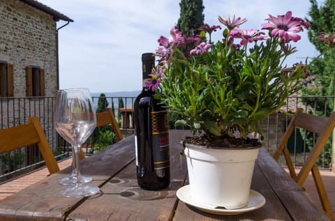 Patio, Balcony/Terrace