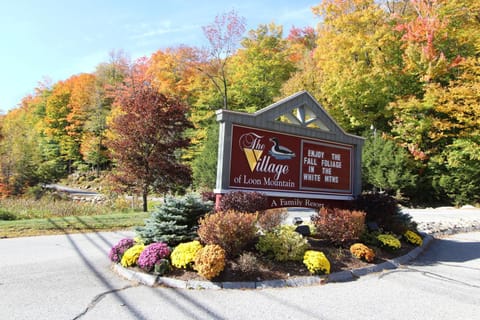 Village of Loon Mountain - VI Appartement-Hotel in Lincoln