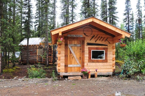 Blackburn Cabins - McCarthy, Alaska Inn in Alaska