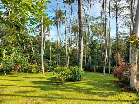 Garden, Garden view, Garden view