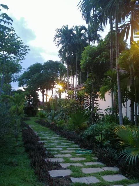 Garden, Sunset