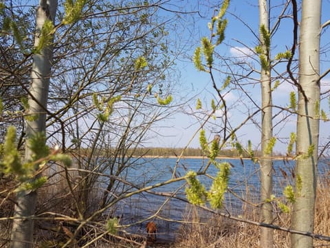 Natural landscape, Hiking