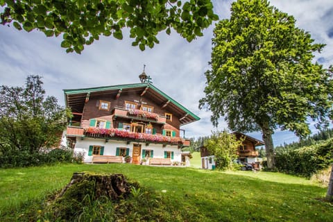 Property building, Facade/entrance, Summer, Garden