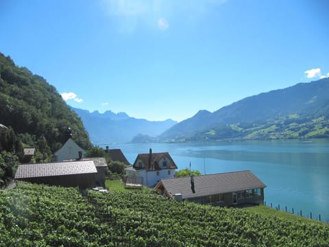 Natural landscape, Lake view, Mountain view