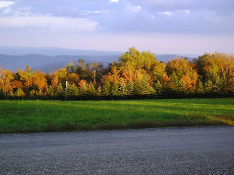 Natural landscape, Autumn, Mountain view