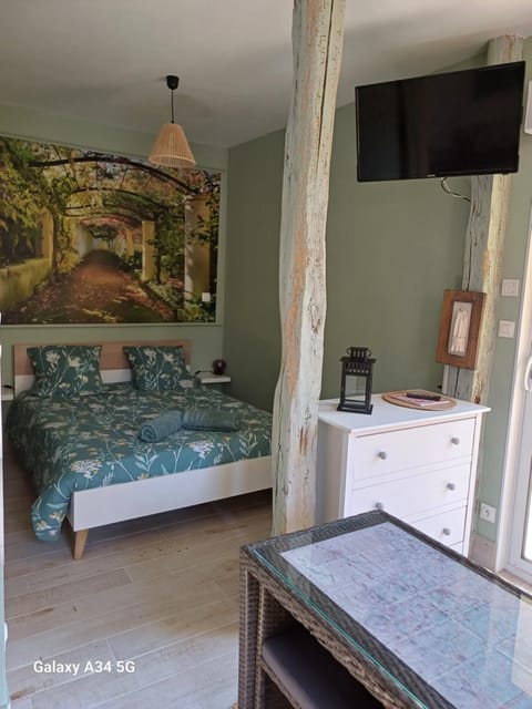 L'intervalle des 18 châteaux Apartment in Centre-Val de Loire