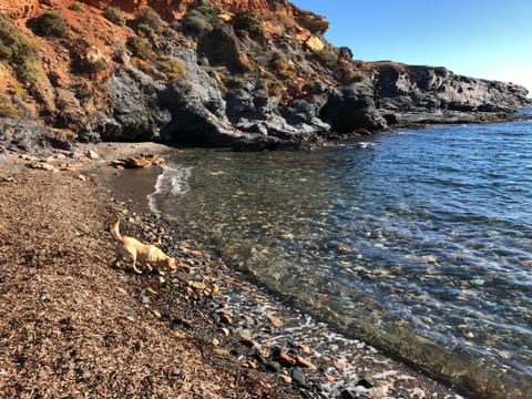 Natural landscape, Beach, Hiking