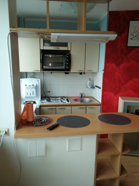 Flat, 1 room, study Apartment in Lithuania