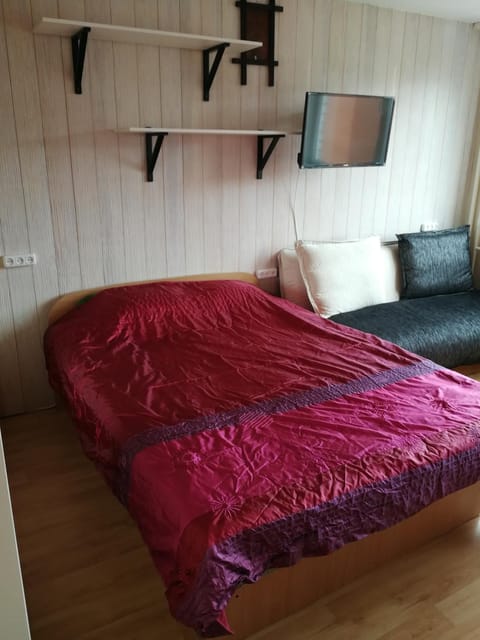 Flat, 1 room, study Apartment in Lithuania