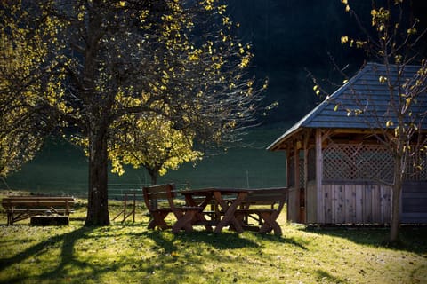 Patio, Day, Natural landscape, Garden, Garden view