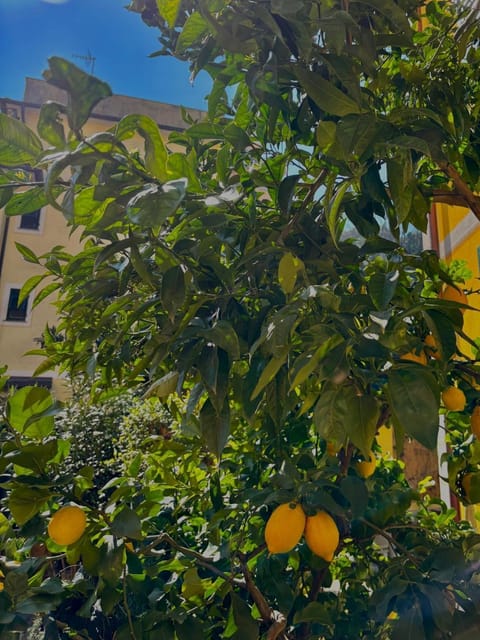 Casa Mia Apartment in Rapallo