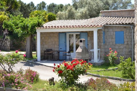 Patio, Facade/entrance, Garden