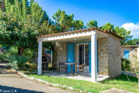 Patio, BBQ facilities, Dining area