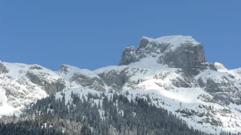 Natural landscape, Winter, Mountain view