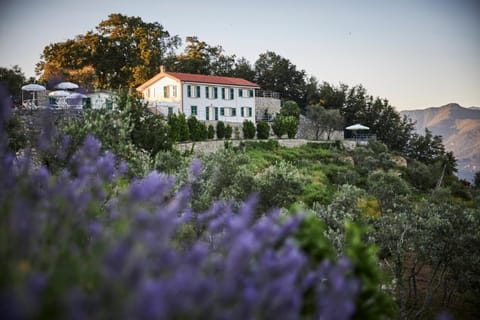 Il Leccio - Luxury Resort Portofino Monte Resort in Liguria