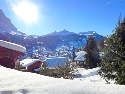 Apartment Chalet Sunneblick by Interhome Apartment in Grindelwald